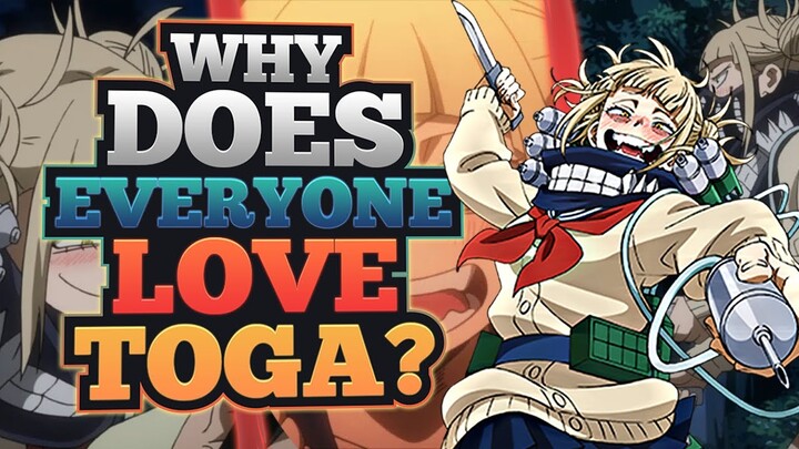 Why EVERYONE LOVES Toga!