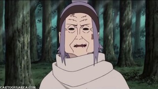 NARUTO SHIPPUDEN EPS 800 sub indo