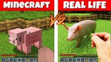 MINECRAFT vs REAL LIFE BATTLE / PIG COW WOLF ZOMBIE ENDERMAN ANIMATION