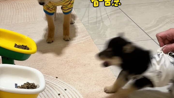 Eat one second later and you'll poop!