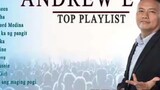 Andrew E (top playlist greatest hits ever)