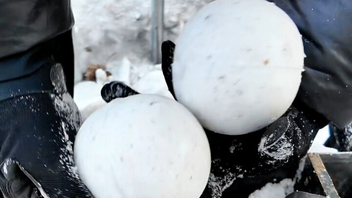 没错 东北人对雪球肯定有执念