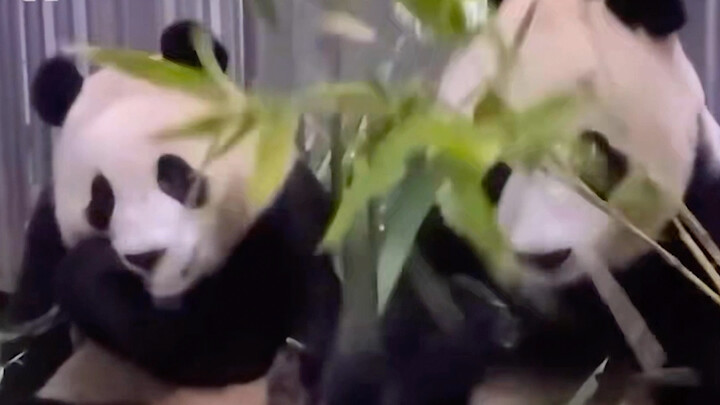 别太演我跟我妈的相处了