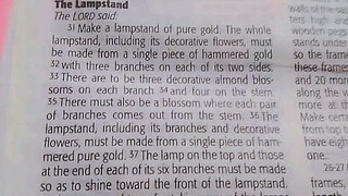 Daily Verse.        Exodus 25:31-40