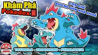 Tìm hiểu về Totodile - Croconaw - Feraligatr | Khám Phá Pokedex | Pokemon Khởi Đầu Johto| PAG Center