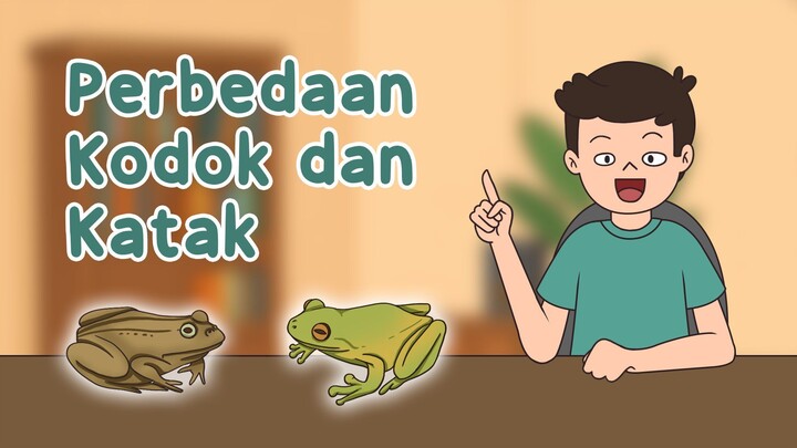 Perbedaan antara Kodok dan Katak - Kartun Lucu Si Alan