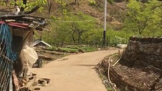 If I had known growing up would be so tough, I should have taken it slower back then.