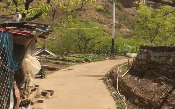 早知道长大这么苦，那时候就钻慢点了