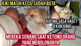 Masya Allah Ini Kondisi Mereka Anak Kucing Buta Dan Kaki 3 Masih di Rawat Di Dokter..!