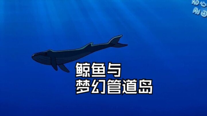 「童年补完」世界上最孤独的鲸鱼在哆啦a梦的世界里有了延续