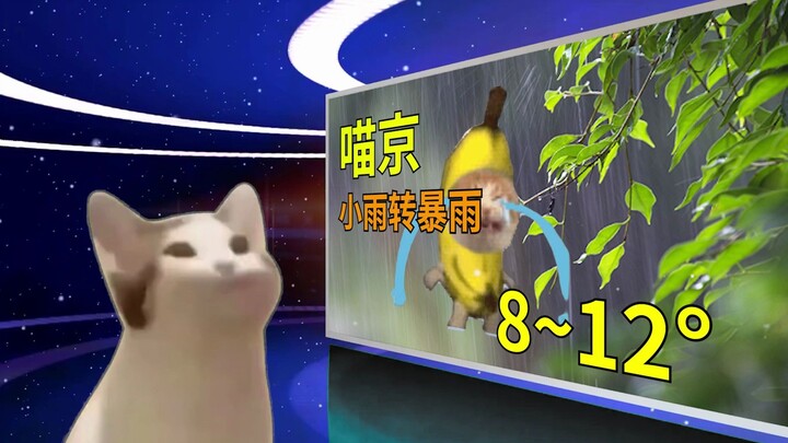 Mèo mèo xin gửi đến quý vị bản tin thời tiết