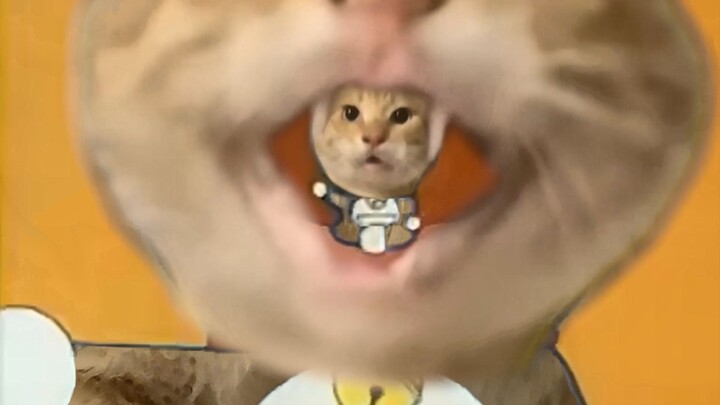 🐱 ما دام لديك دورة إيه «ماو» 🐱 – النسخة الصينية من موسيقى البداية