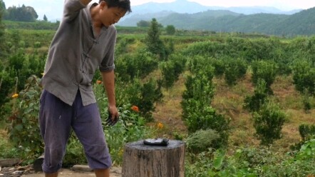 ฟื้นฟูเครื่องสำอางโบราณ - อินดิโก้ เครื่องมือวาดคิ้วสุดฮิตในสมัยโบราณ