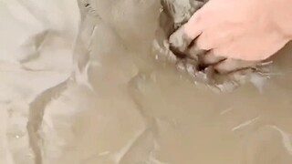 我以为又是演的，没想到是真的