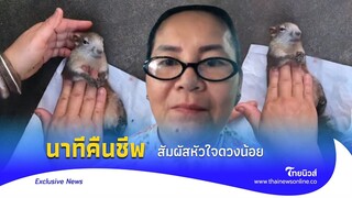 ลุ้นนาทีหญิงใจดี ปั๊มหัวใจช่วยกระรอก นอนหายใจรวยริน|Thainews - ไทยนิวส์|News2-23-GT