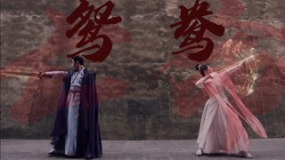 【 亡 命 鸳 鸯 】 西炎玱玹 皓翎玖瑶 • 张晚意 杨紫 （杀手 檀健次）# 紫晚檀
