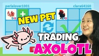 WHAT PEOPLE TRADE FOR AXOLOTL IN ADOPT ME (600 ROBUX) Roblox Tagalog