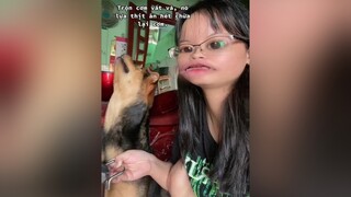 funny  bốc phốt con choá này mới được thucung độngvật dog xuhuong voiceeffects