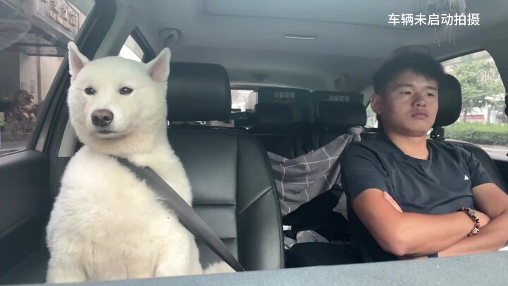 Daily Vlog 45