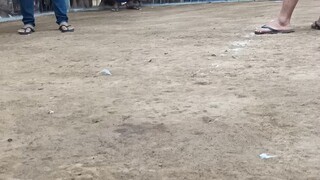 one day 4wins last na laban.🐓