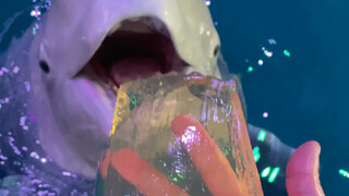 อาหารพร้อมแล้ว!