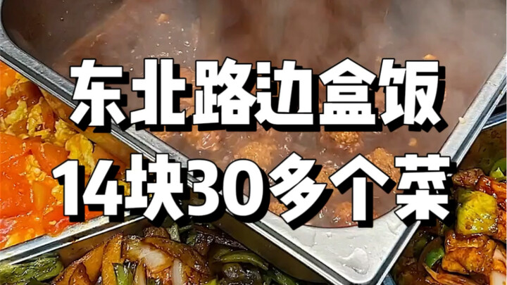 Northeast roadside boxed meals for 14 yuan with over 30 dishes, and big‑stuffed dumplings to your he