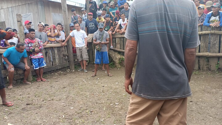 Bata ni junior vs ramintas
