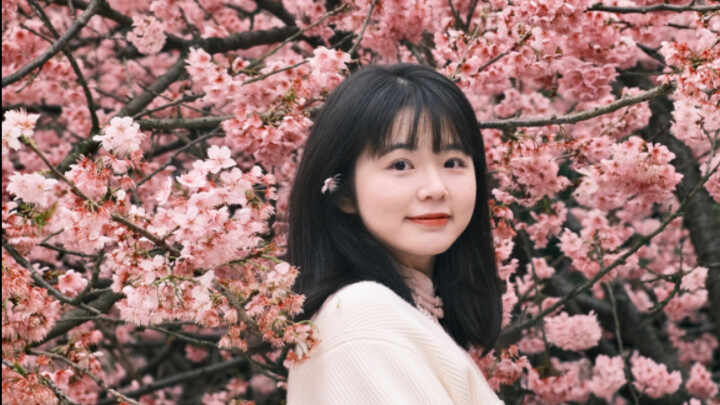 I’m climbing Chunshan to meet you; I’ve been holding onto countless longings all year.