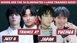 where are the 16 eliminated I-LAND trainees now? (model, host, Trainee A, Just B etc) LATEST UPDATE!