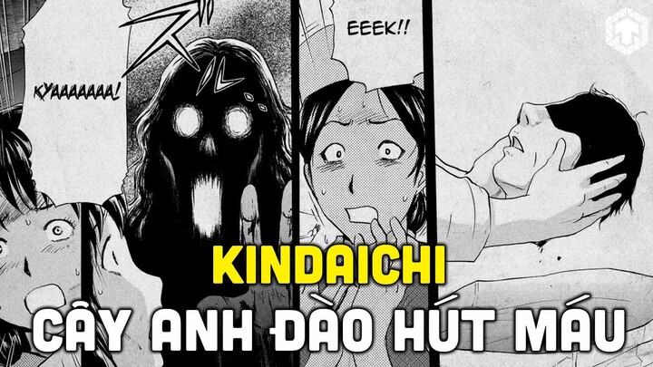 THÁM TỬ KINDAICHI - CÂY HOA ANH ĐÀO HÚT MÁU NGƯỜI | TEN TRINH THÁM | TEN TUN