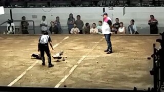 1cancel fight 1win