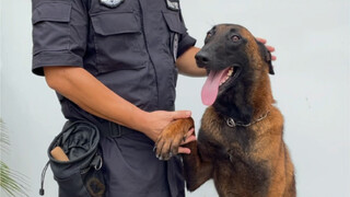 I have no idea why so many people want to bid on our Bawan.