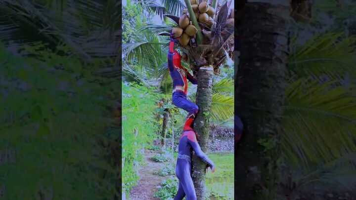 #lucu #serialkomedi #spidermannowayhome #spiderman #dramakocak sinenek edan ajak Spiderman ke sawah?