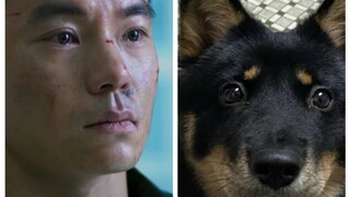 Khi cảnh sát Tiểu Giang biết mình bị nói giống chó đất