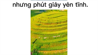 xa nơi xô bồ để về với nơi thanh nhàn#dailyvlog#life#chill