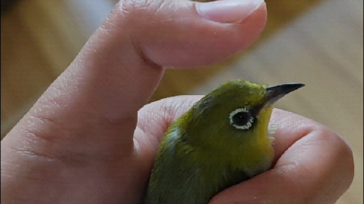 What to Do When Your Brand-New Lighter Won’t Spark?