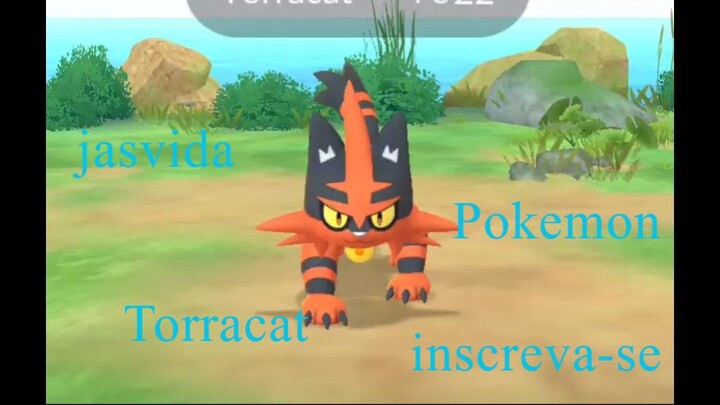 Torracat   Pokemon