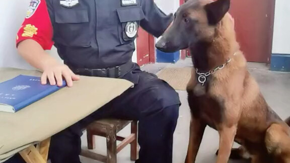 “Xichuan SWAT” ranked second on the 26th National Public Security Government TikTok Top List—here’s 