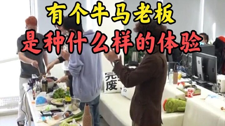 Cười chết mất! Hóa ra có những ông chủ cũng làm việc vất vả chẳng kém gì trâu ngựa!