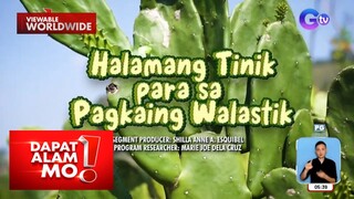 Halamang cactus, ginawa na ring sahog sa smoothie?! | Dapat Alam Mo!