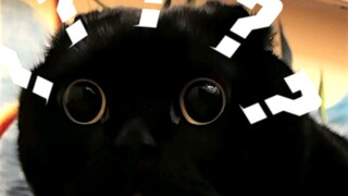 นี่คือเพลงแบ็คกราวด์ที่ถูกแต่งขึ้นมาเพื่อฉันโดยเฉพาะหรือเปล่า?