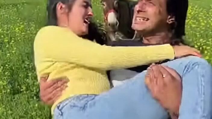 entertainment video