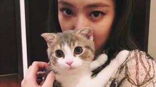 【Jenlisa】Lisa dance整理合集～原来妮都有透漏过