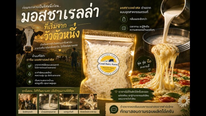 มอสซาเรลล่าที่เริ่มจากวัวตัวหนึ่ง