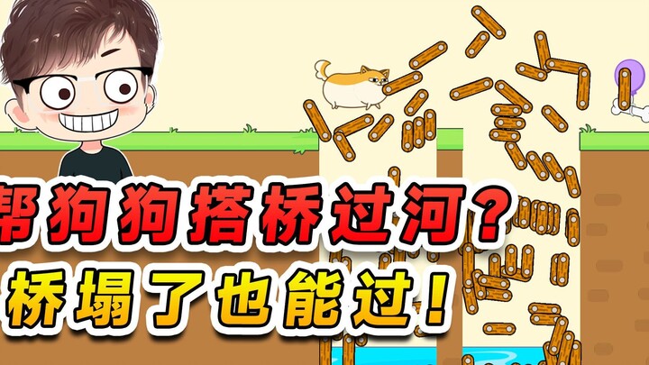 ช่วยสุนัขสร้างสะพานข้ามแม่น้ำ? แม้ว่าสะพานจะพังลงมา แต่ก็ไม่ได้ทำให้สุนัขข้ามแม่น้ำไม่ได้เลย!