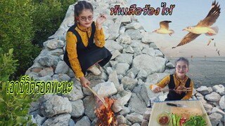 หันเสือร้องไห้ ริมทะเล เอาชีวิตรอด ชมนกนางนวล