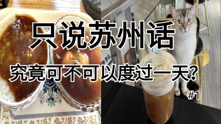 Bisakah kamu bertahan hidup di Suzhou hanya dengan berbicara dialek Suzhou? Seorang perempuan mencob