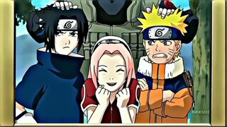team 7 before for after