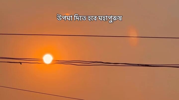 আমার পুরুষ