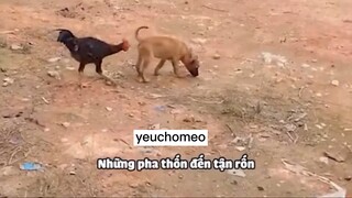 bó tay bó chân với mấy ẻm